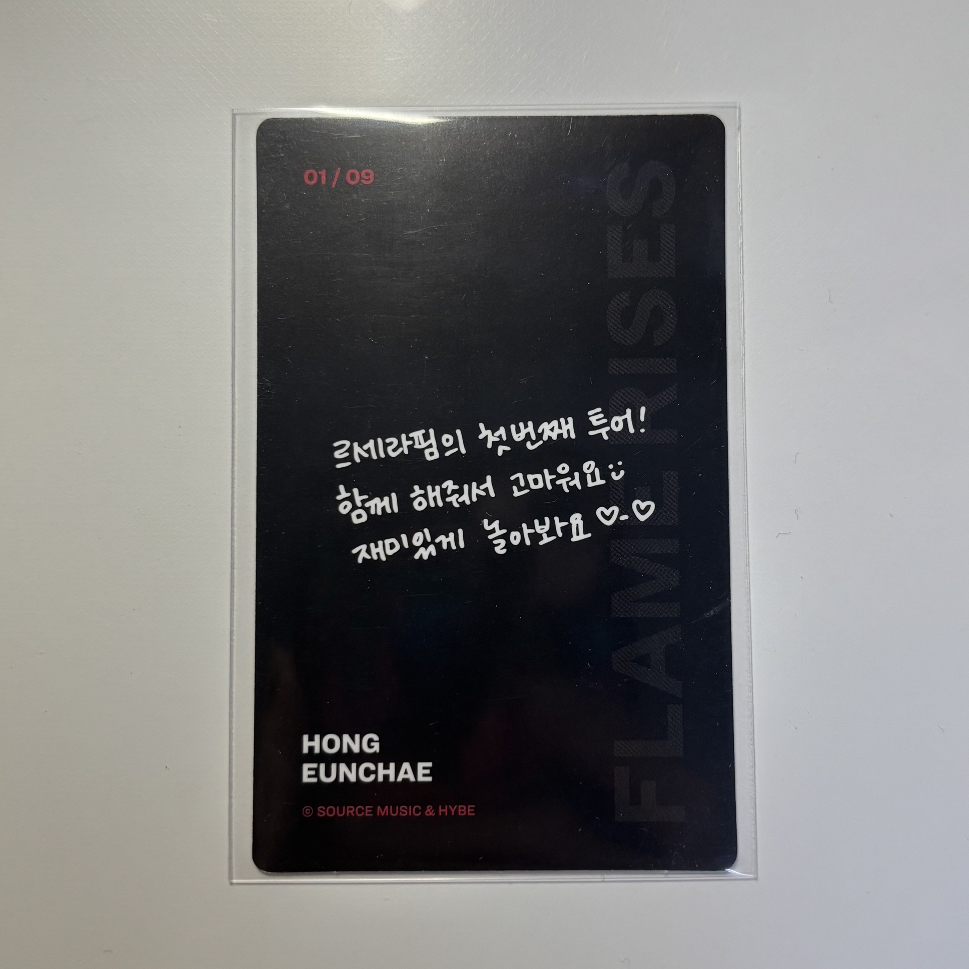 ［FLAME RISES］2023亞巡 卡包隨機卡 櫻花 一葉 恩採