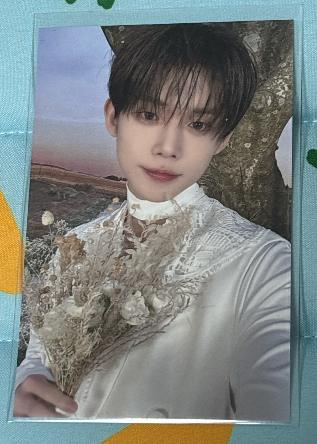 崔然竣 24’巡迴 入場卡