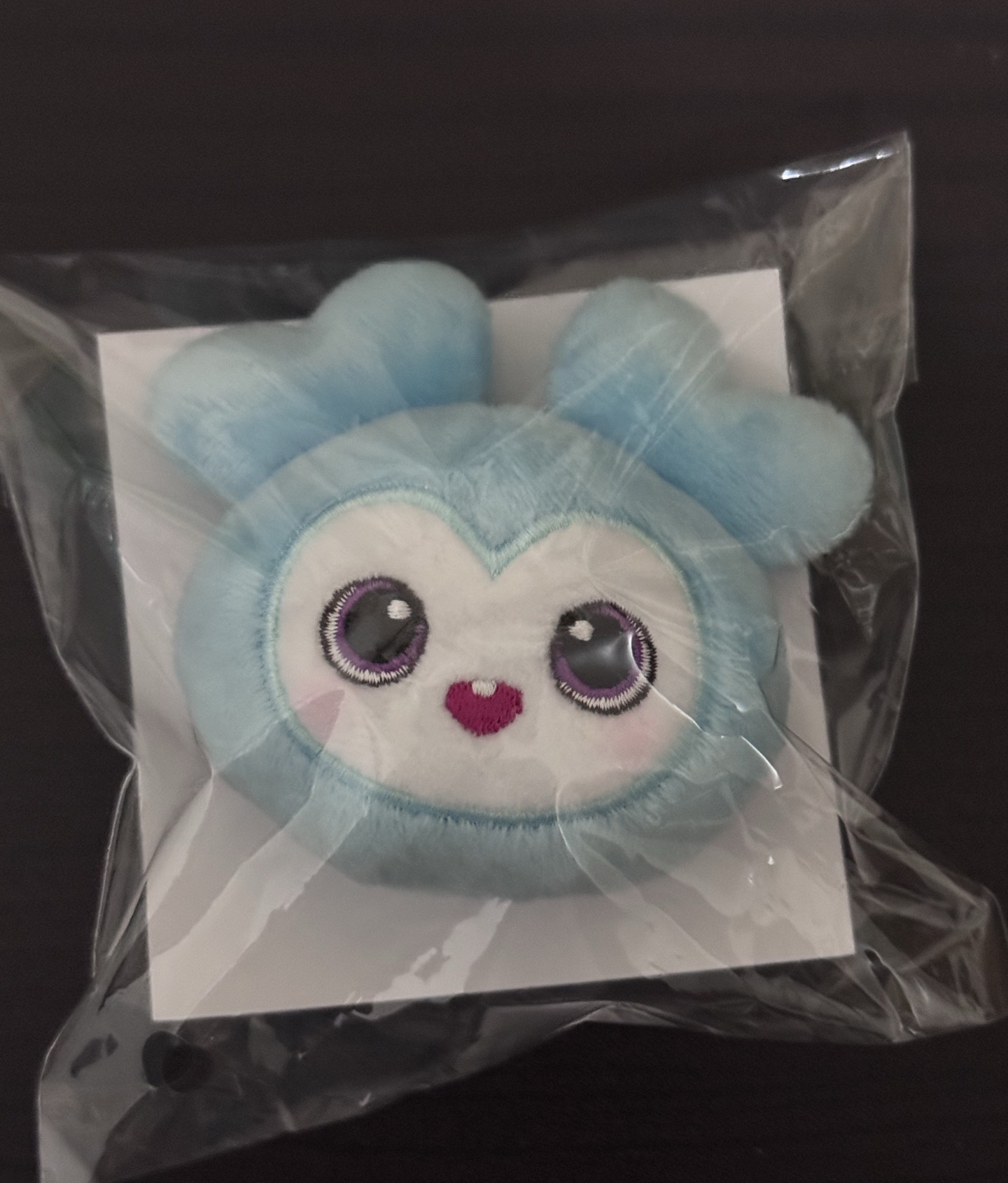 TWICE 六巡 日本場週 娜璉 手機支架