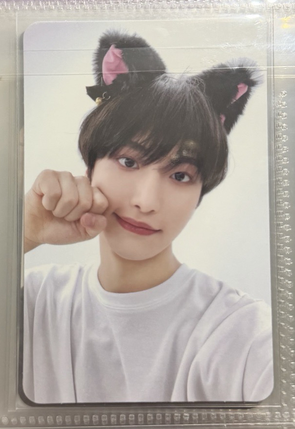 星化 黑貓 看內文