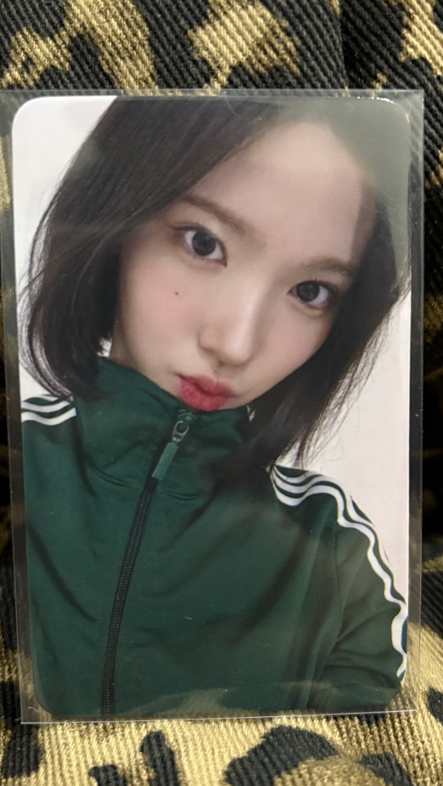 JIWOO JP簽售特典