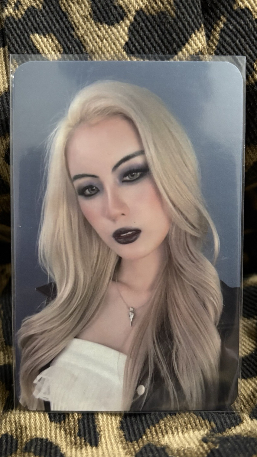 毓 演唱會 會員特典卡 COOKIE ZONE