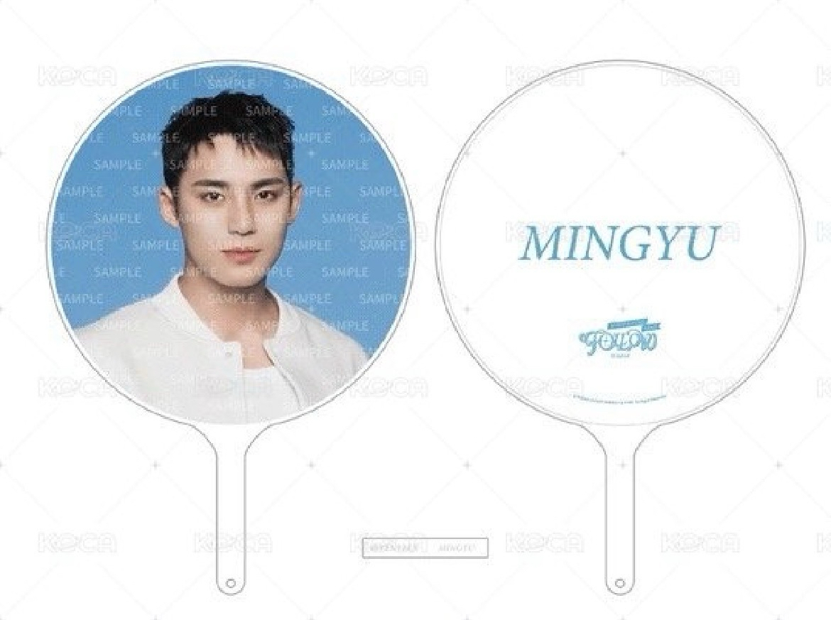 FA全新未拆大扇 奎