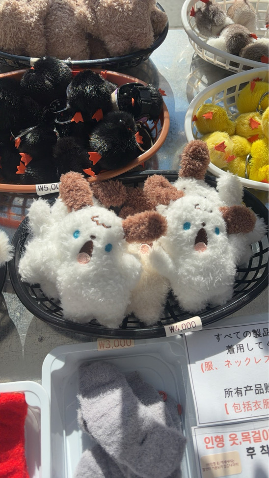 𝜗ৎ RN ⊹ ࣪ ˖