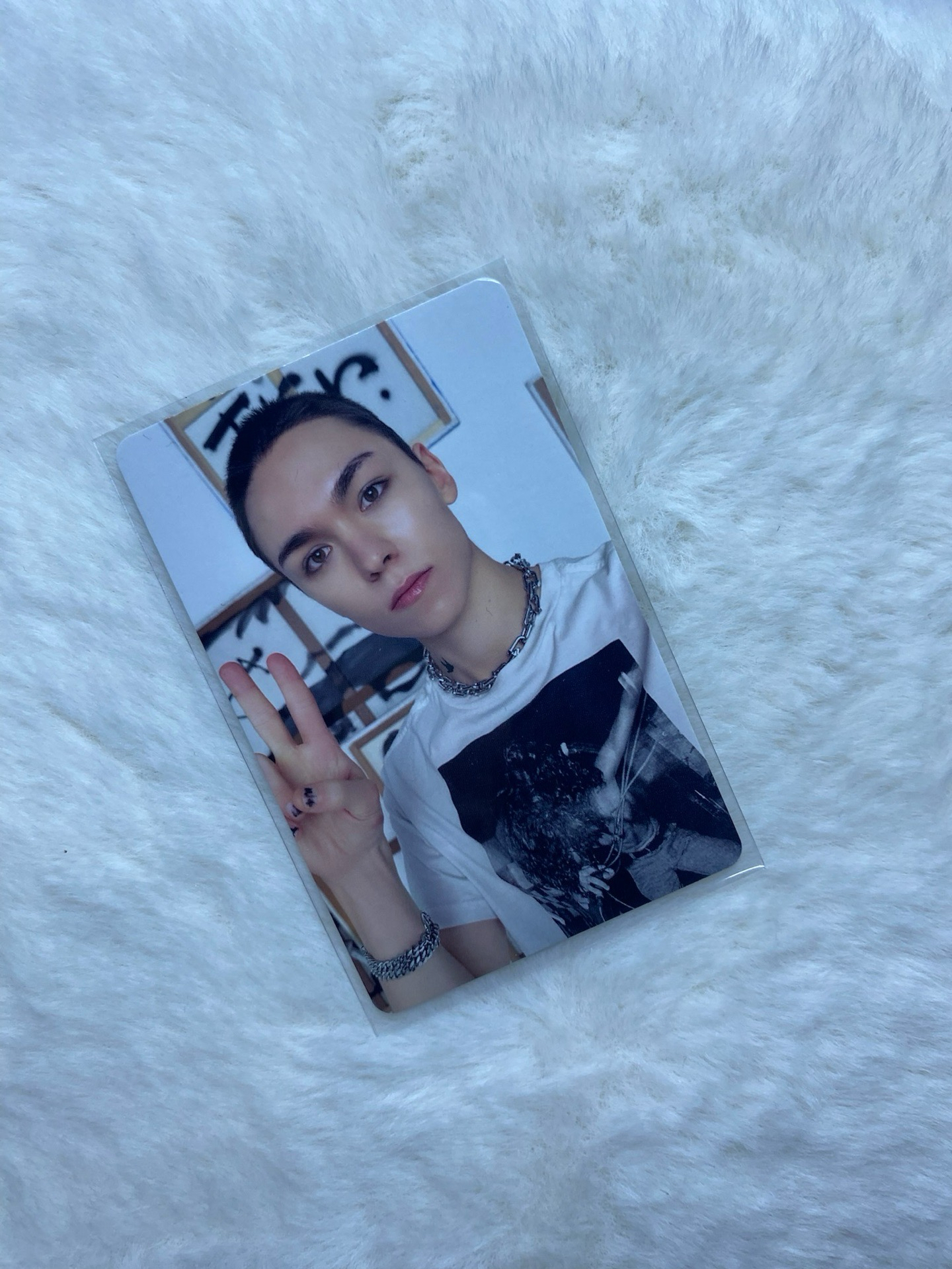 🐻‍❄️專輯卡