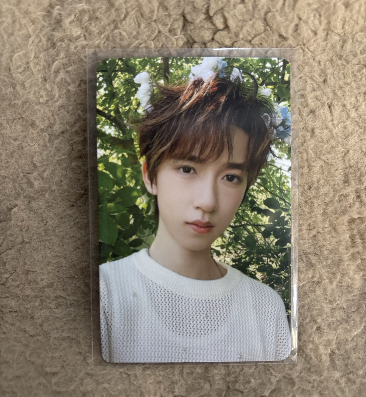 賀峻霖（眉毛處有廠損，對光可見）