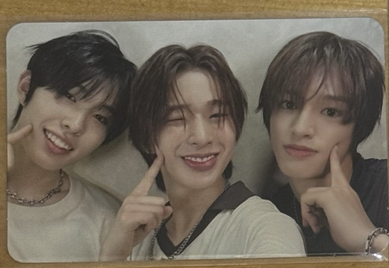 迷1-🐧🦌🐿️