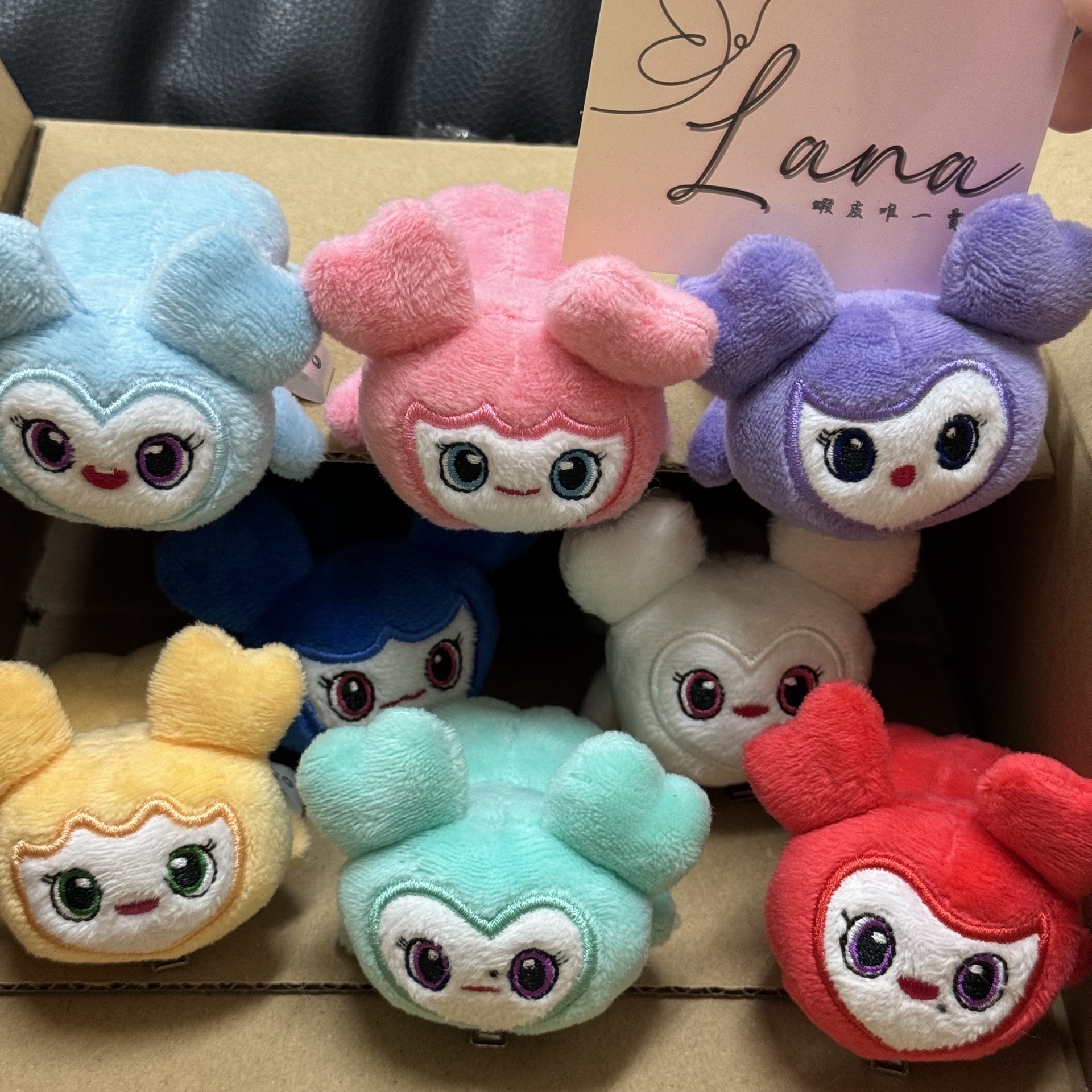 子瑜 23’ 五巡 髮夾 lovely髮夾