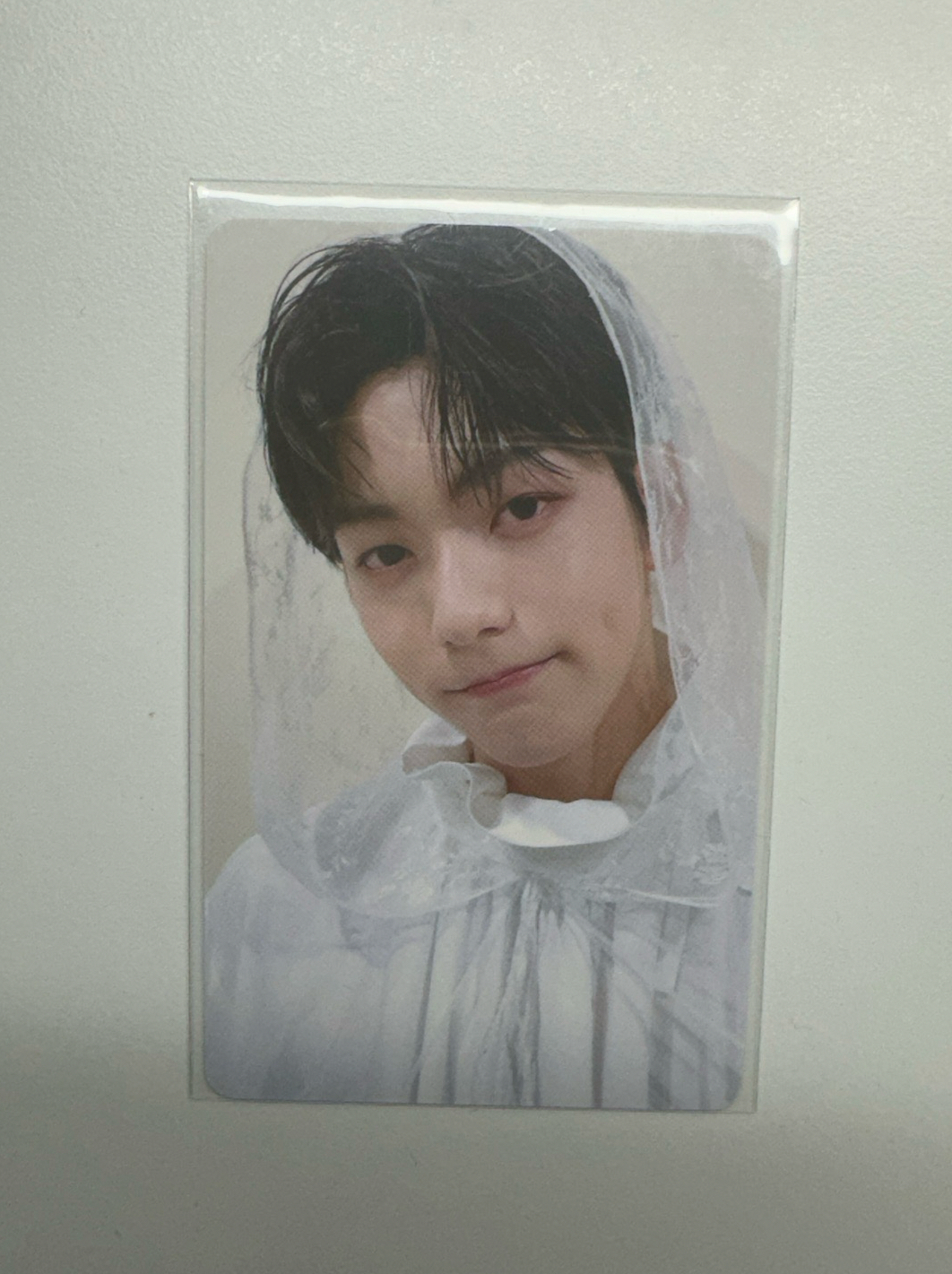 21 fanlive 新娘彬