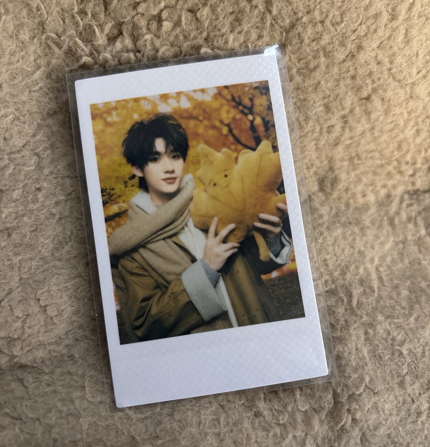 丁程鑫 楓葉+單人無卡全套