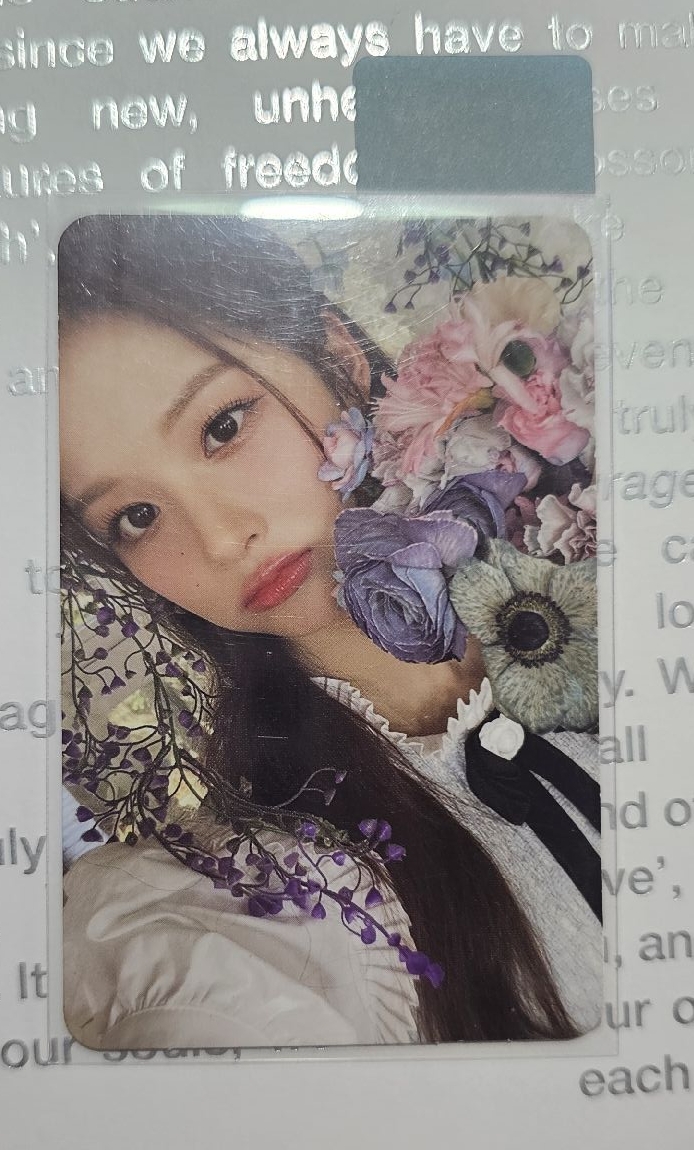 環保盒子 隨機卡薛