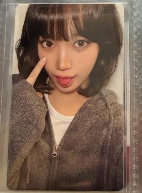 🍝WVS特典采+WM 2.0葉 2張一組