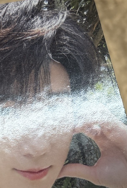 張真源（額角處有廠損，對光可見）