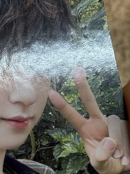 賀峻霖（手指處有廠損，對光可見）