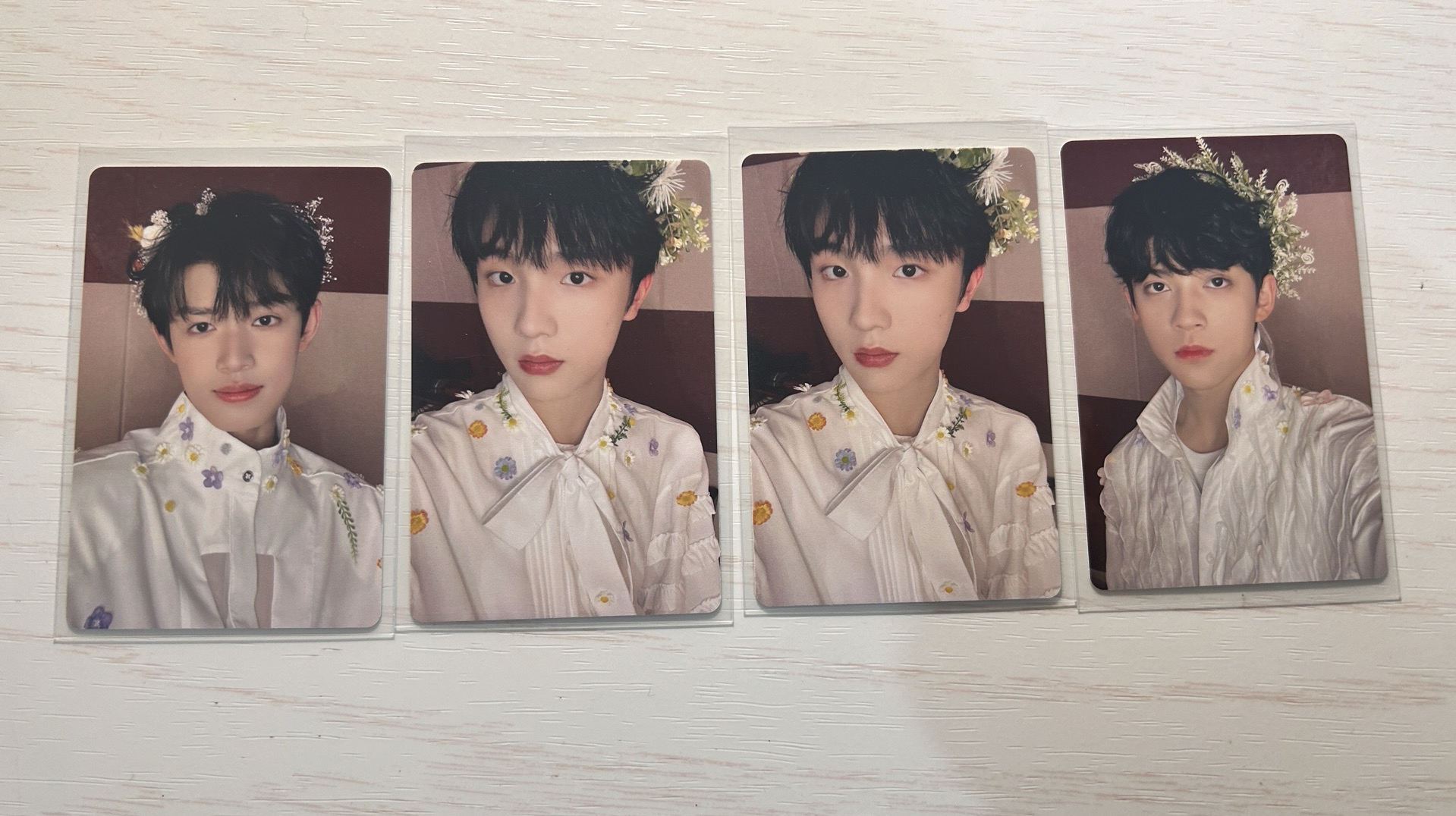 TF家族三代 蝴蝶效應 蘇新皓 張極 陳天潤