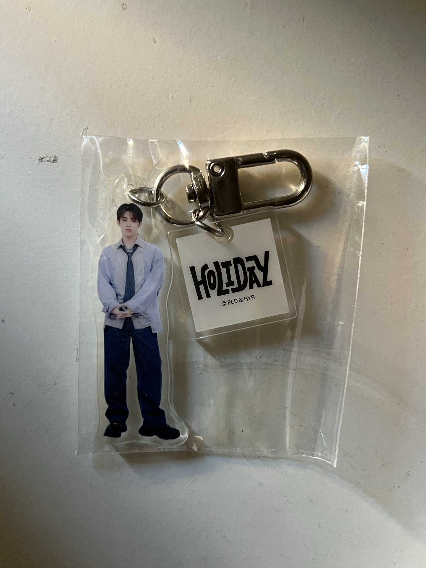 🦝hol 徽章、扭蛋吊飾、拍立得 哲