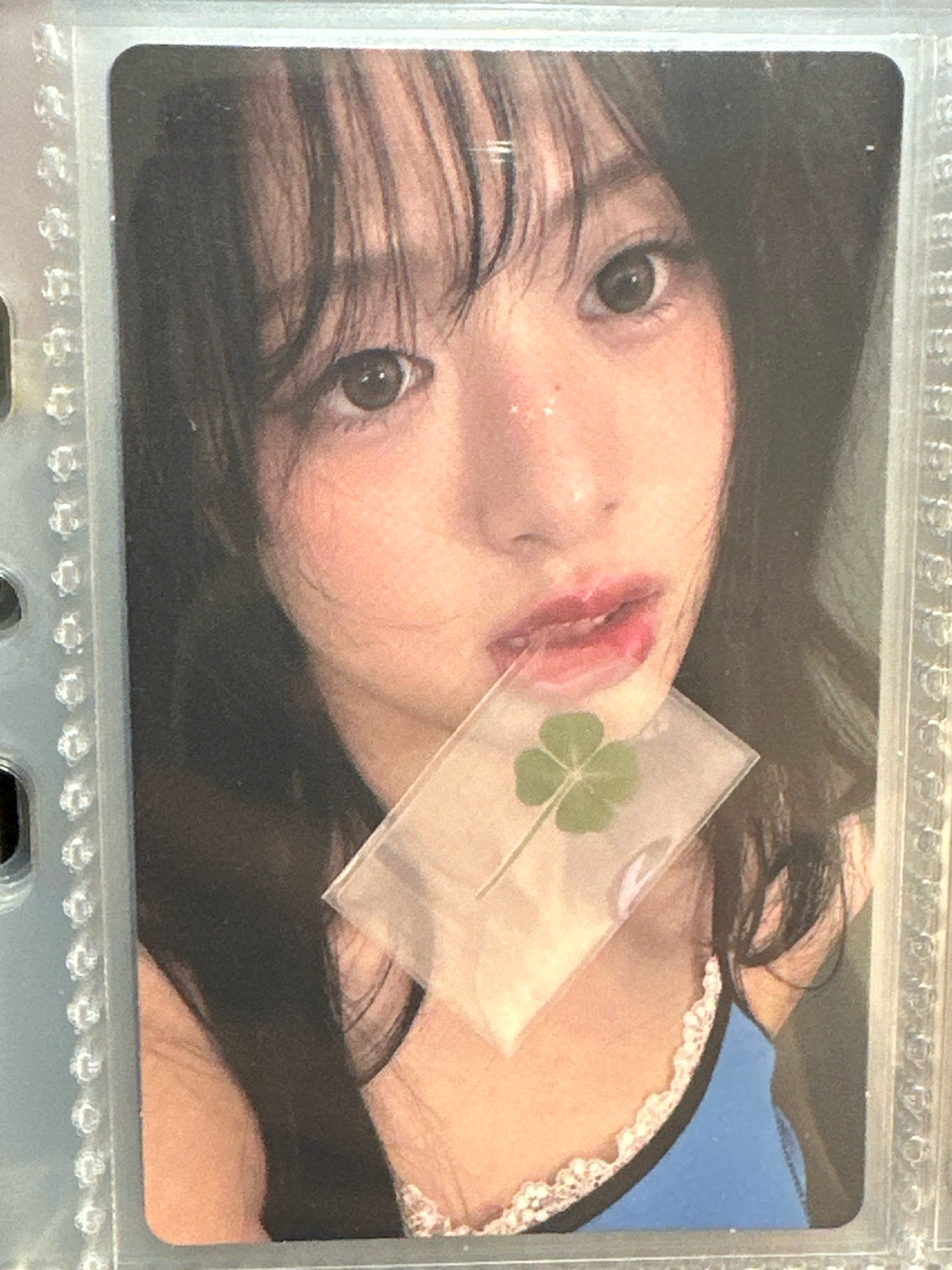 幸運草賢韓背現貨