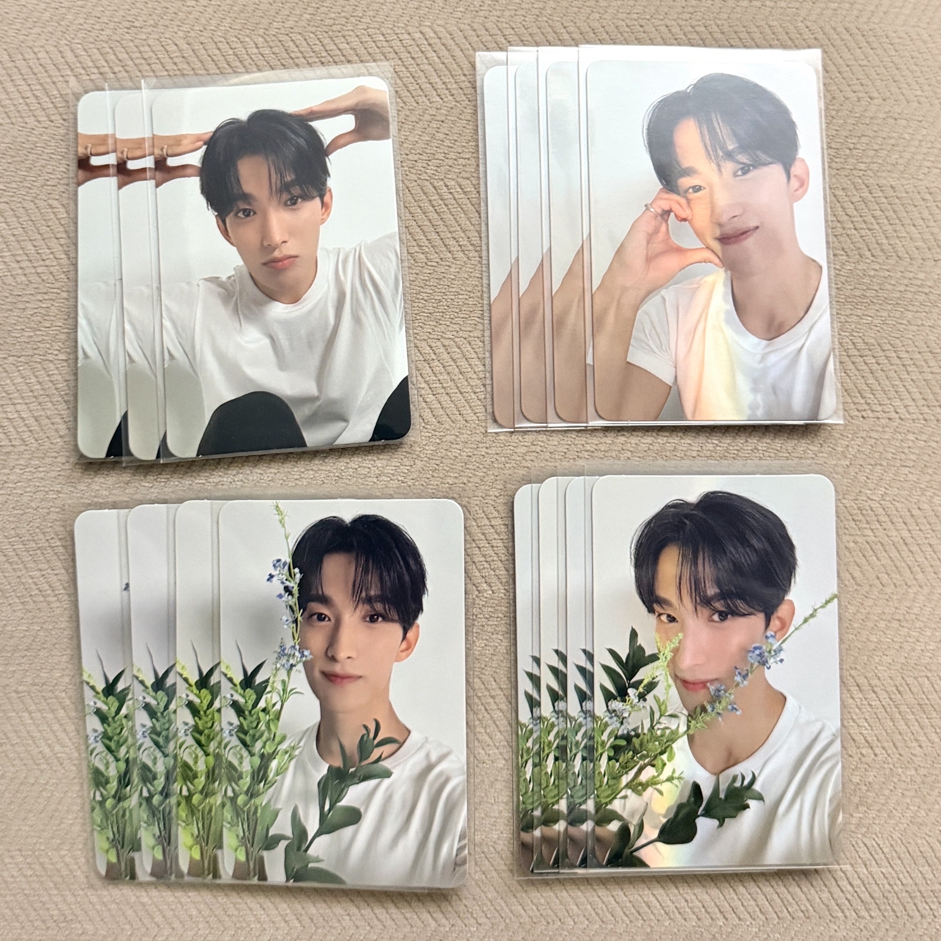 精選專 克拉盤 DK小盤