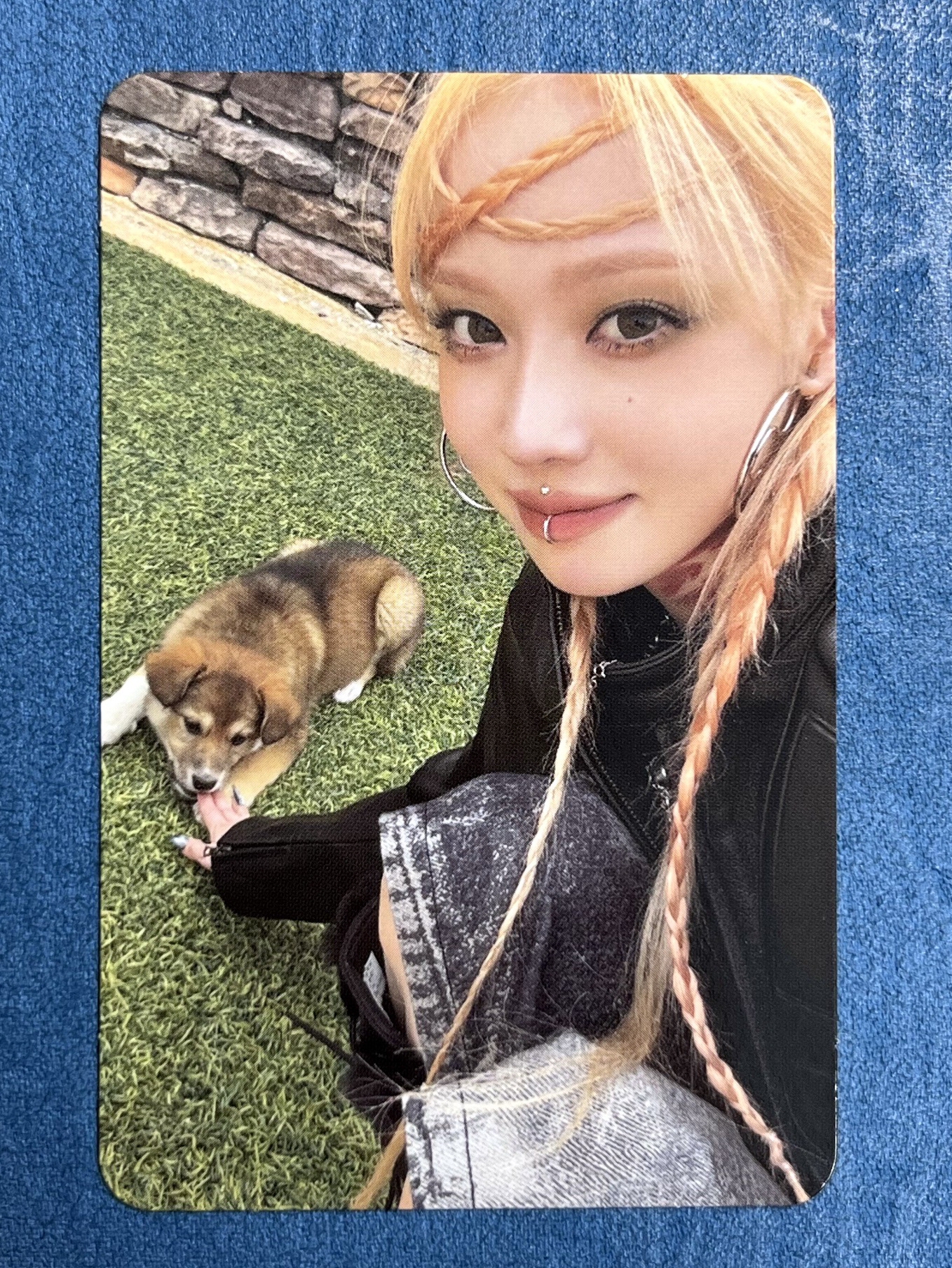 照片中有兩隻🐶