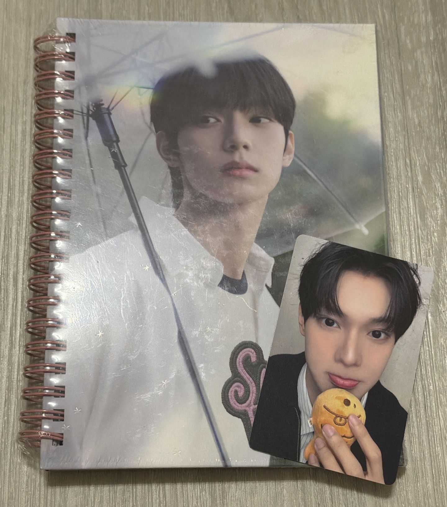 dream 配立于不吃鯛魚燒