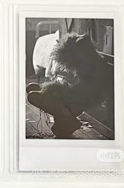 ROSÉ專輯solo 《R》專輯小卡