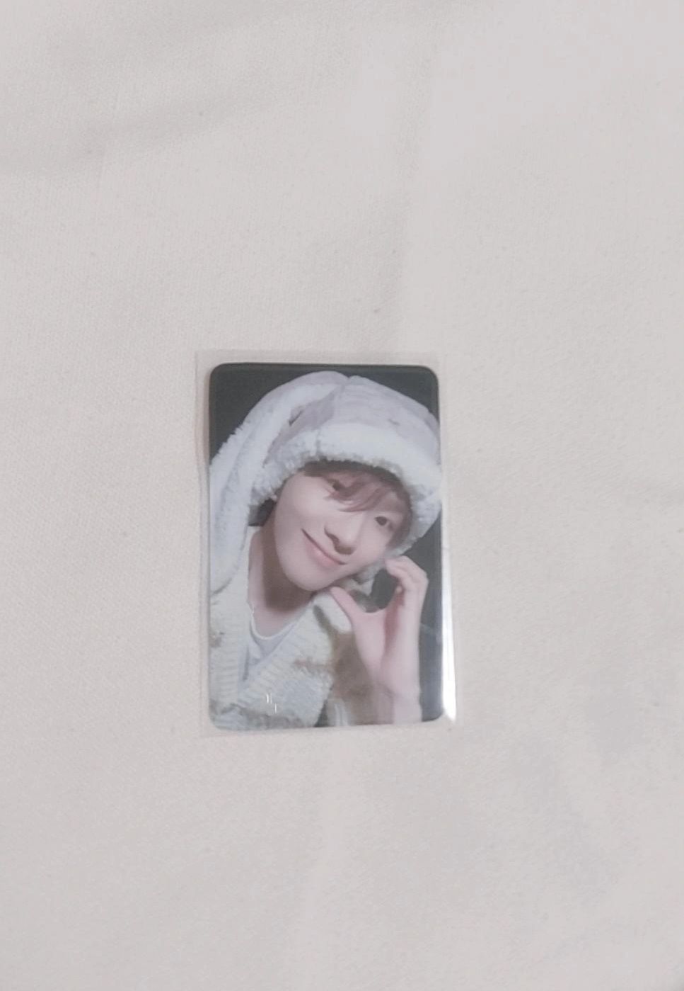 wvs西裝眼鏡 兔耳6盤