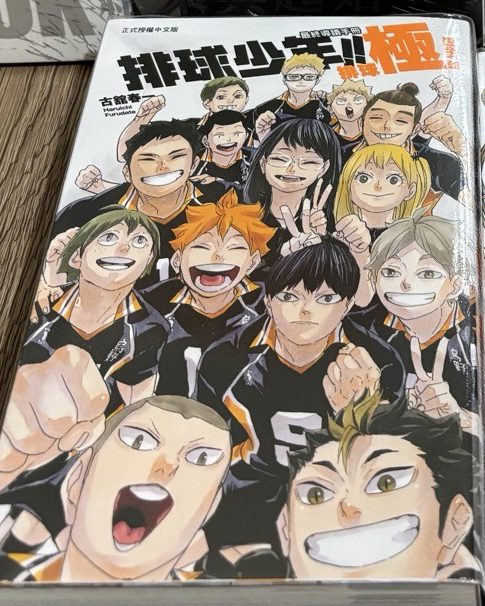 排球少年 排球極