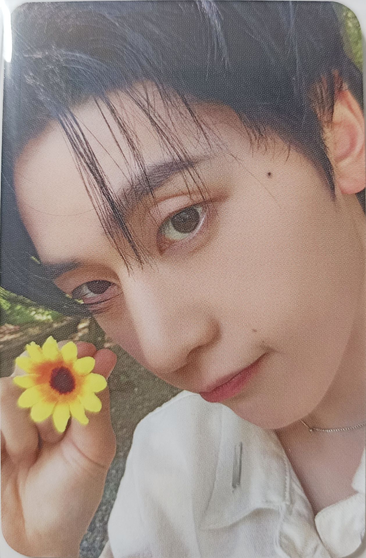 ZB1 正規一 MK花 修