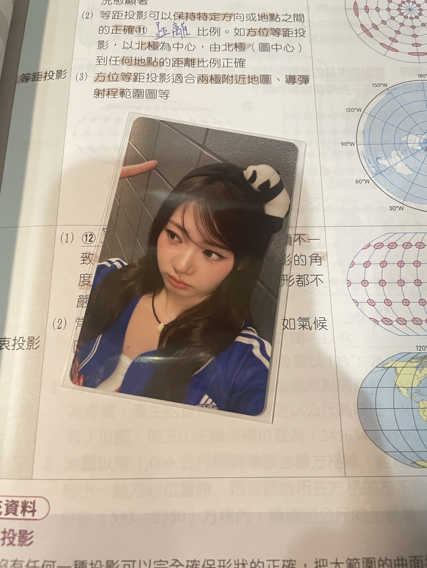 熊貓茶 上海快閃699