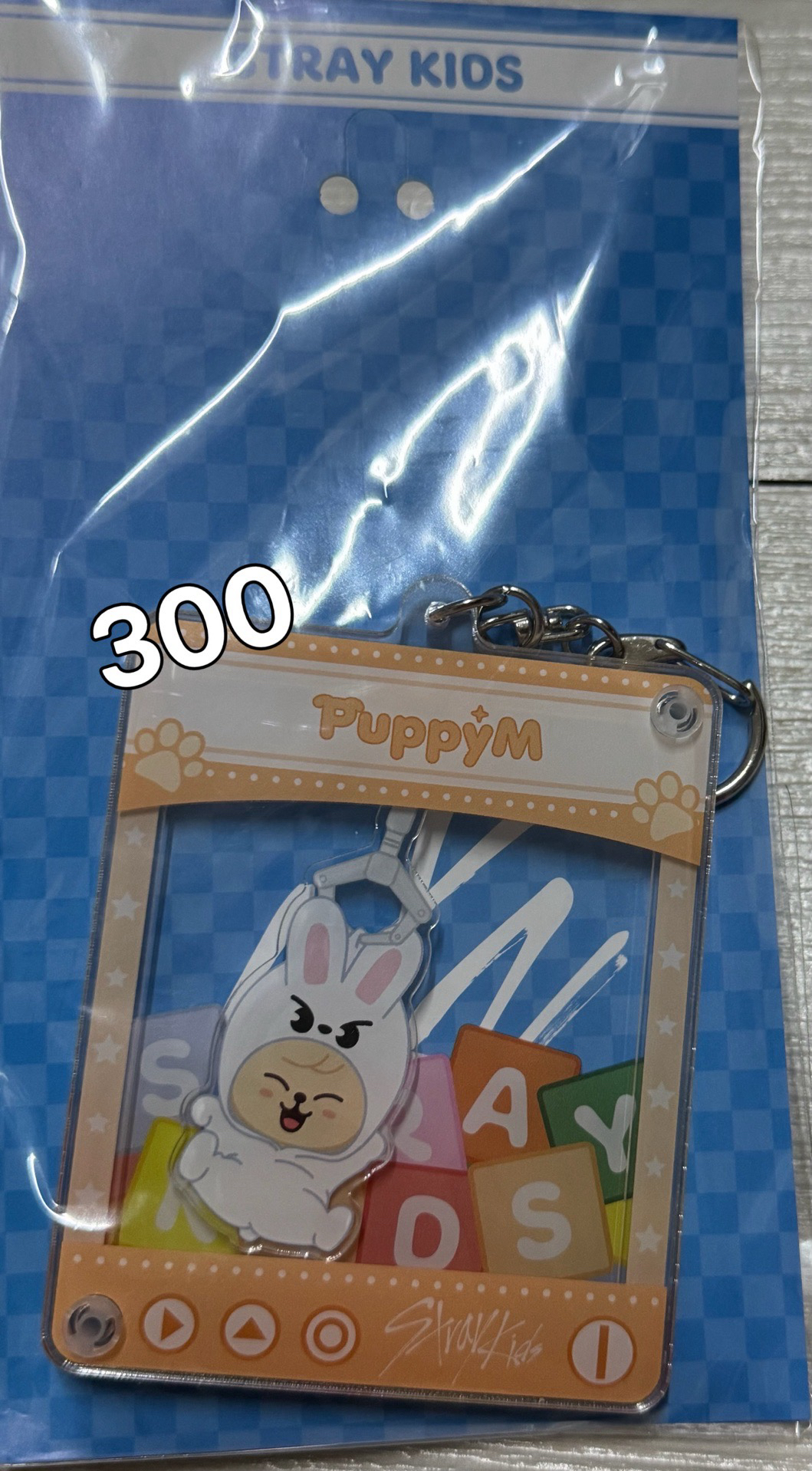 SKZ TOY WORLD 吊飾 Puppy M