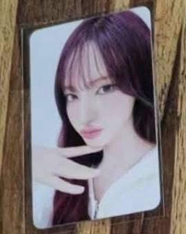 上海楠藝簽售 栗