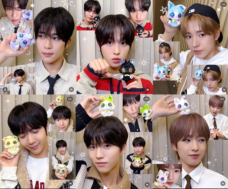 現貨：NCT WISH X WISHCAT-毛絨坐貓款吊飾（單支隨機/成套）