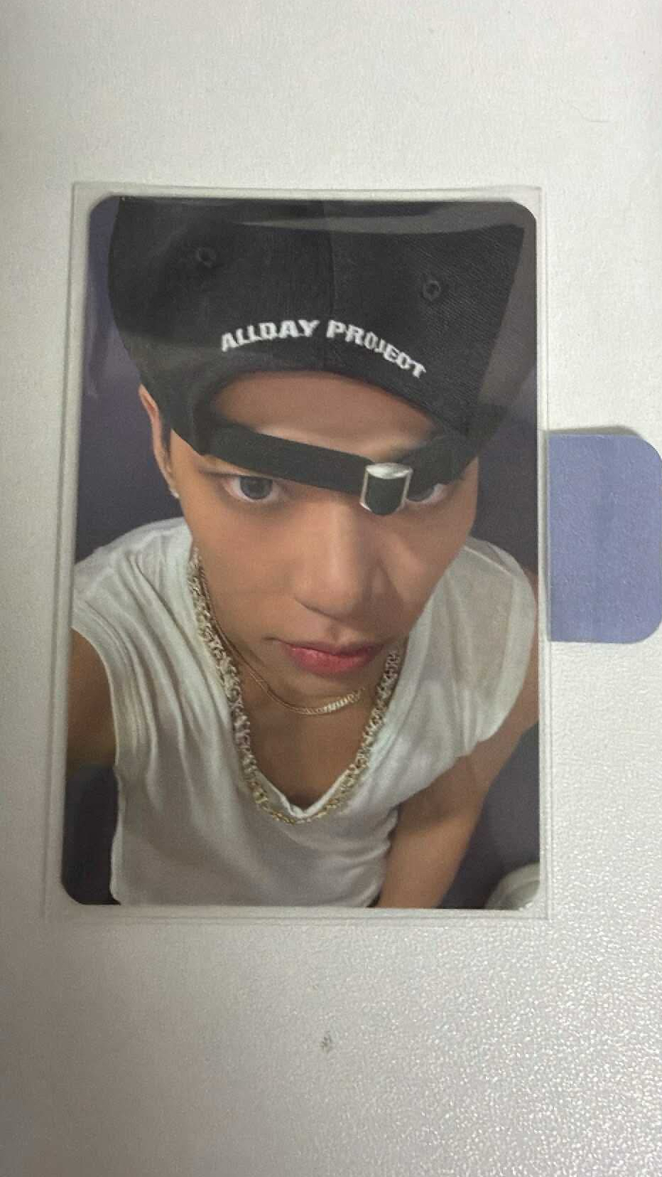 頭泰大 （二月出貨）