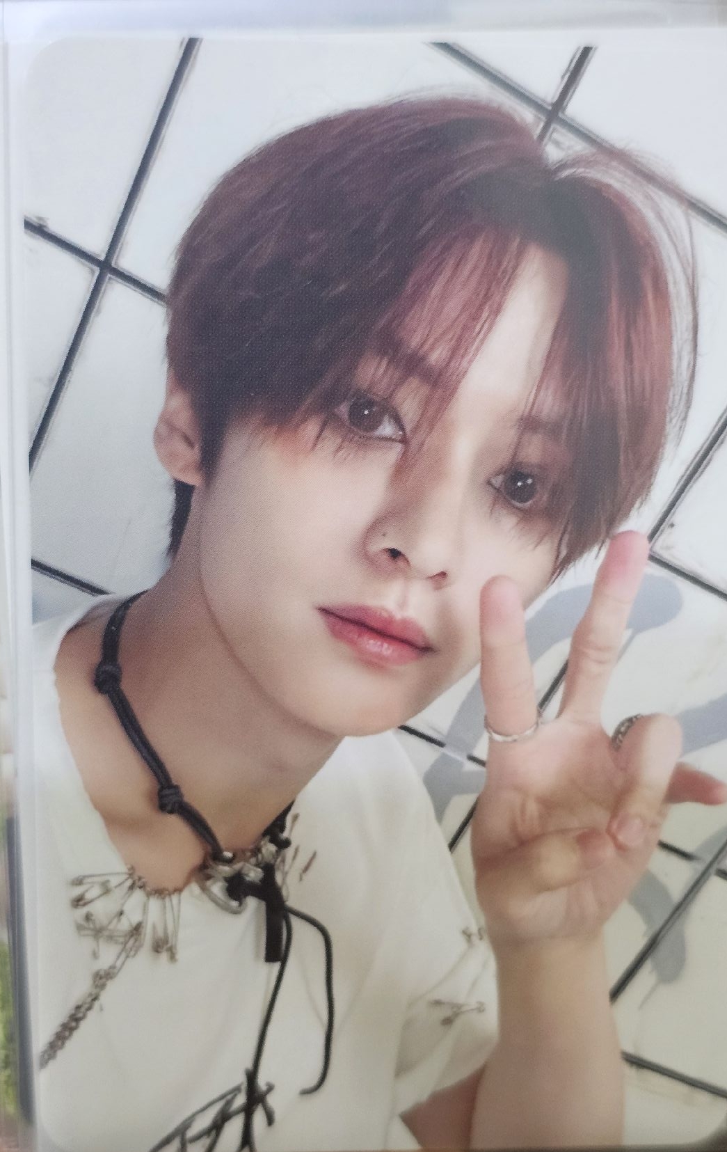 樂-STAR 專輯卡 leeknow 