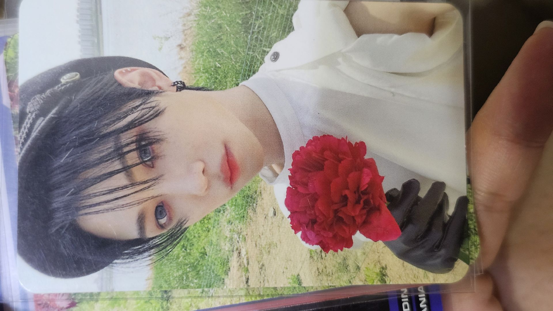 MAXIDENT 專輯卡 Go ver. 菲