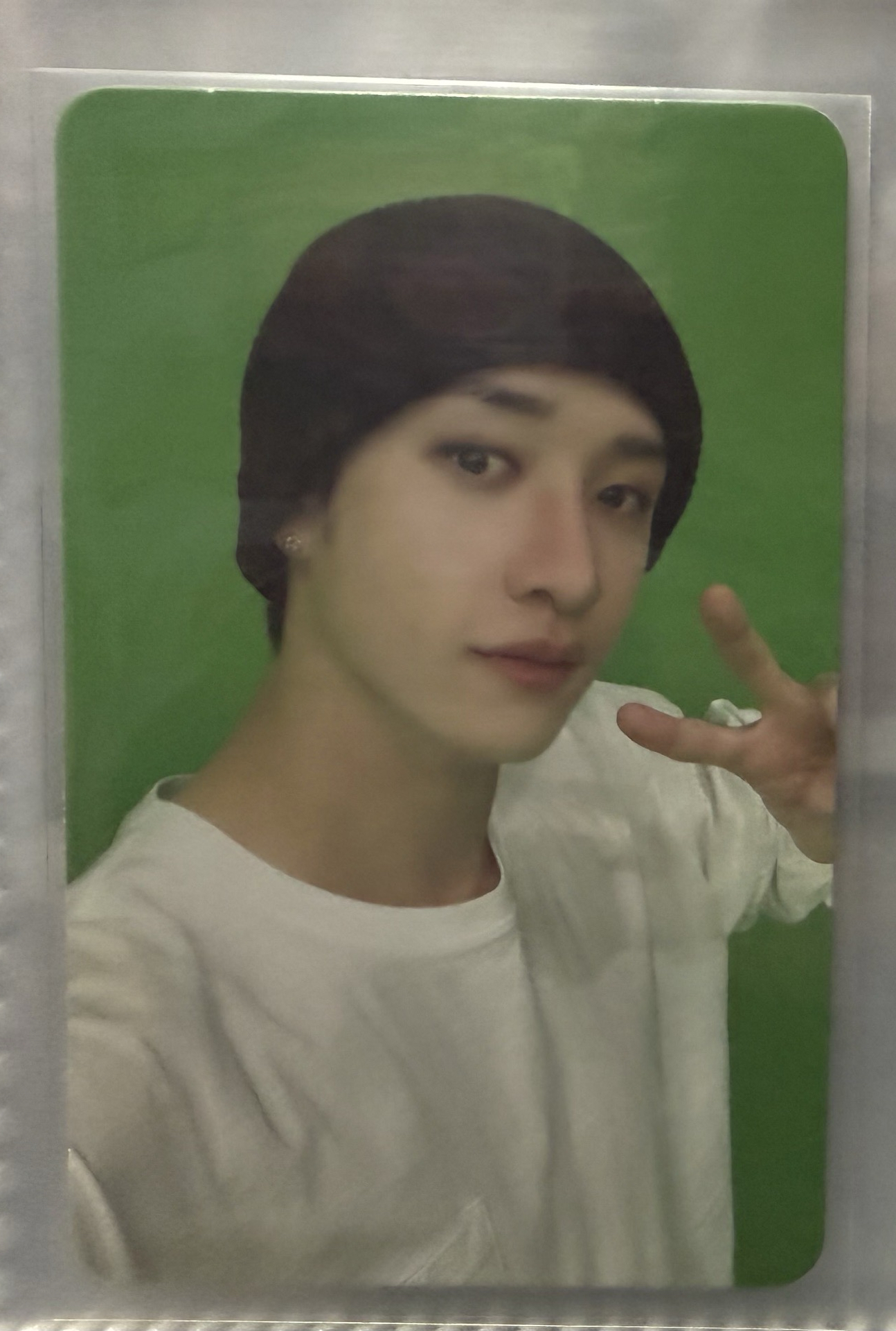 ATE 專輯卡 Accordion ver 燦🐺