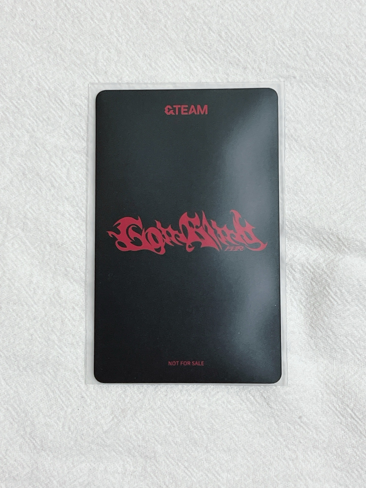 月狼 Nicholas 線下合影