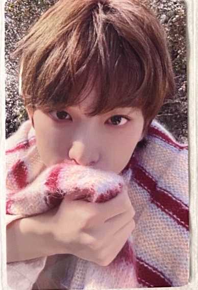 HARUA五月雨日咖幸運卡1.0