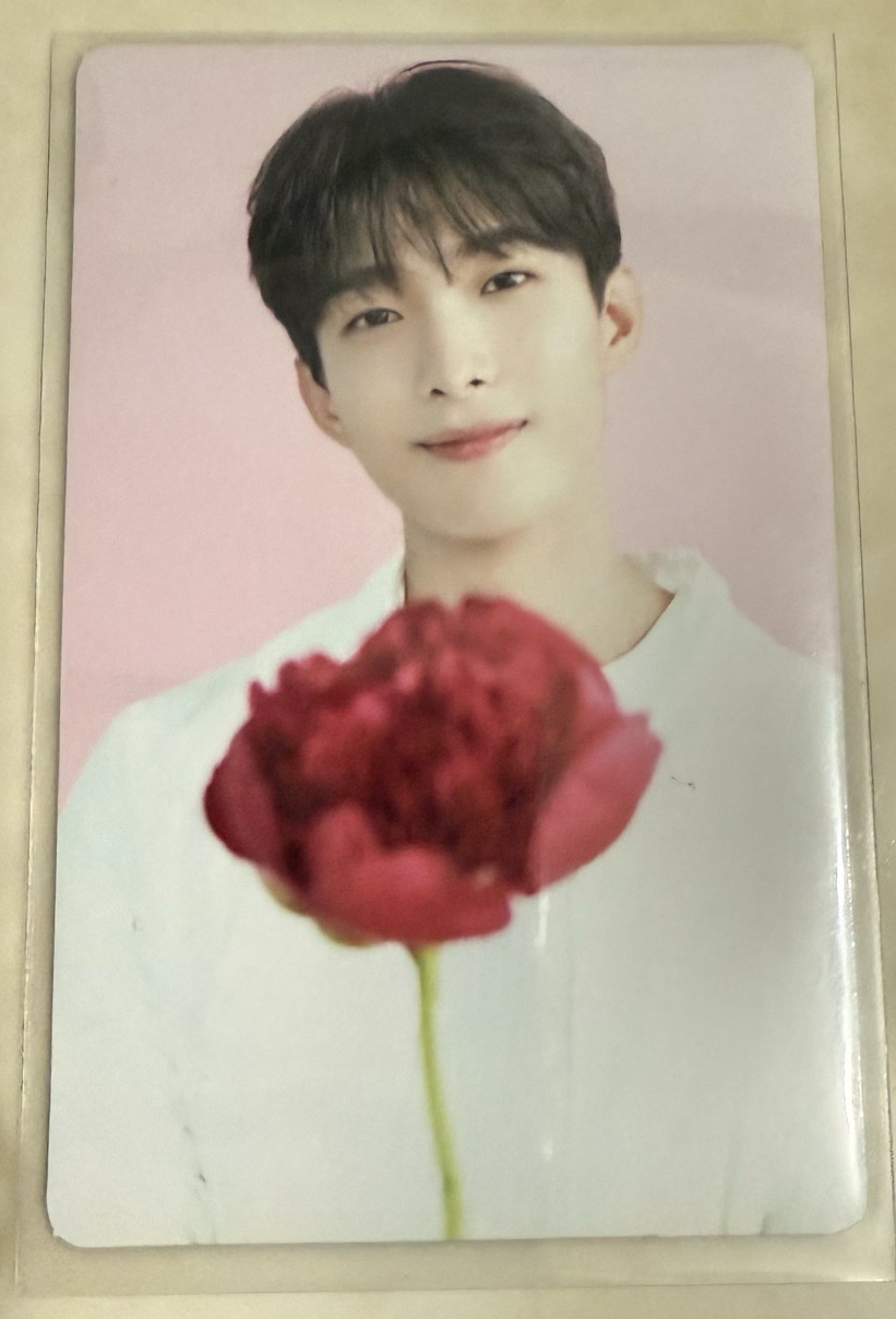 SVT咖啡廳卡包卡