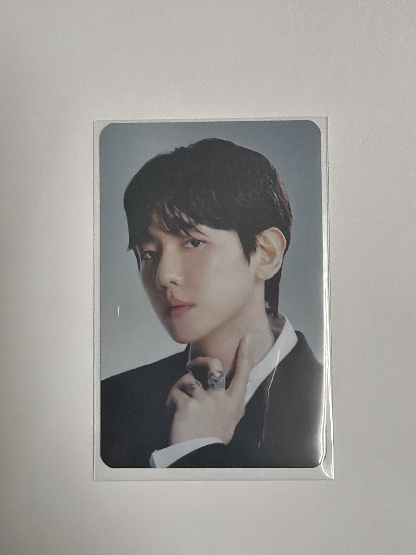 伯賢演唱會隨機卡