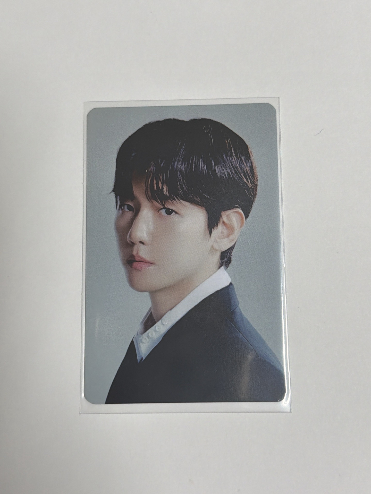 伯賢演唱會隨機卡