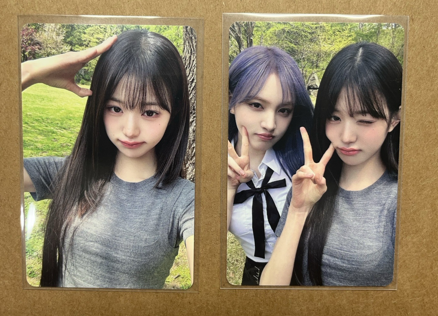 雜誌卡 狗耳員 (含帶）