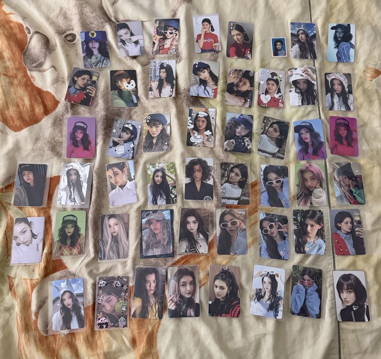 Danielle 22、23、24、25台曆卡+專卡+證件照