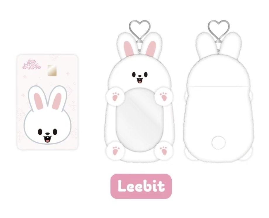 ⋆˚ STRAYKIDS ˖° —— Leebit 卡套