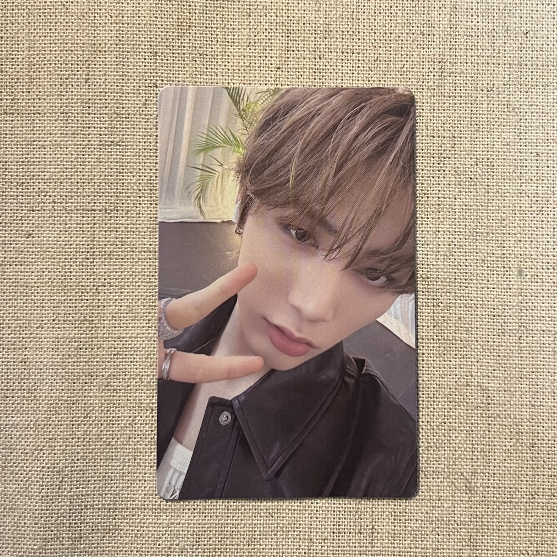 WVS 2.0 幸運卡 泰山