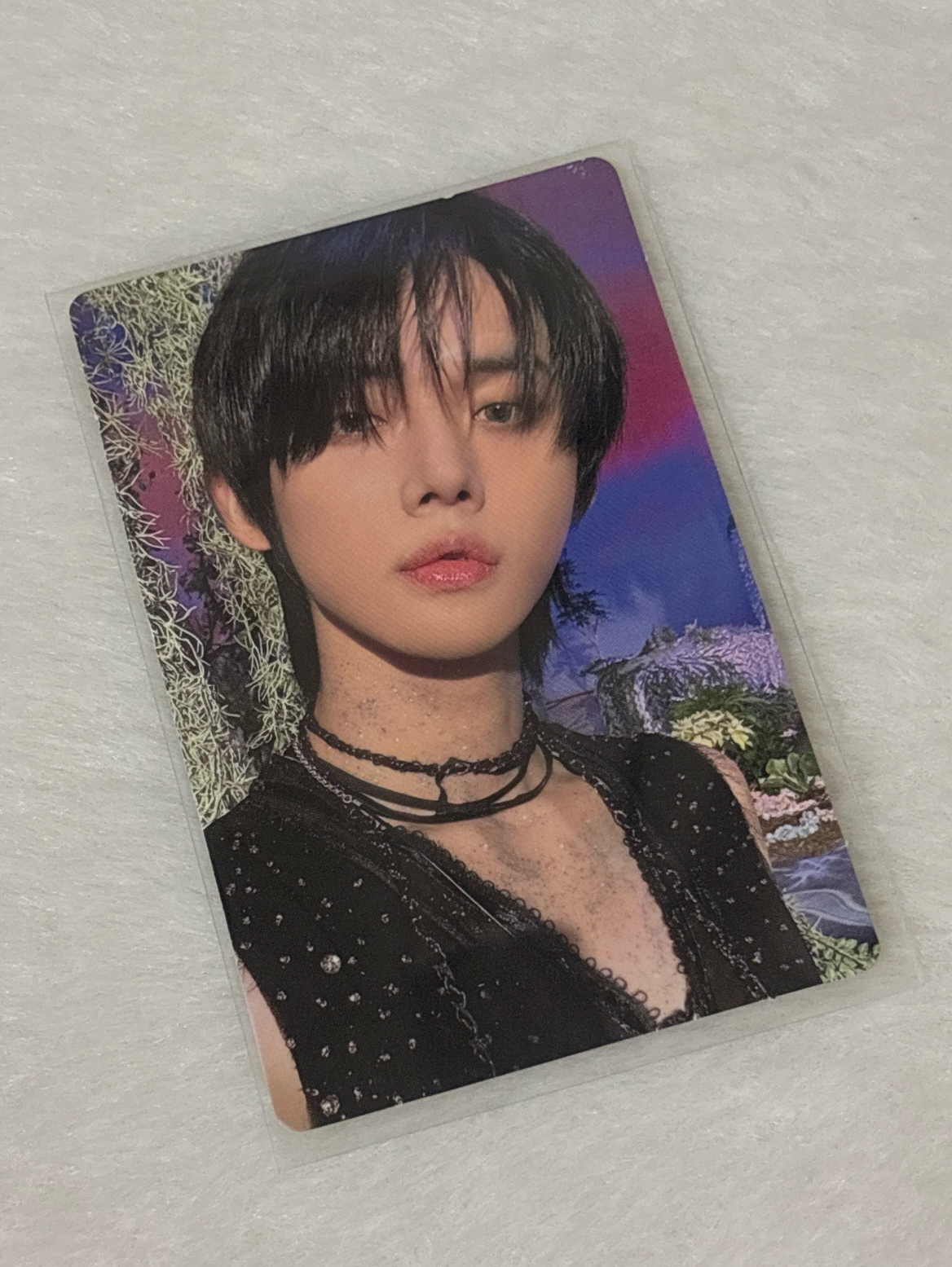 迷五 專輯卡 ver.電子專A