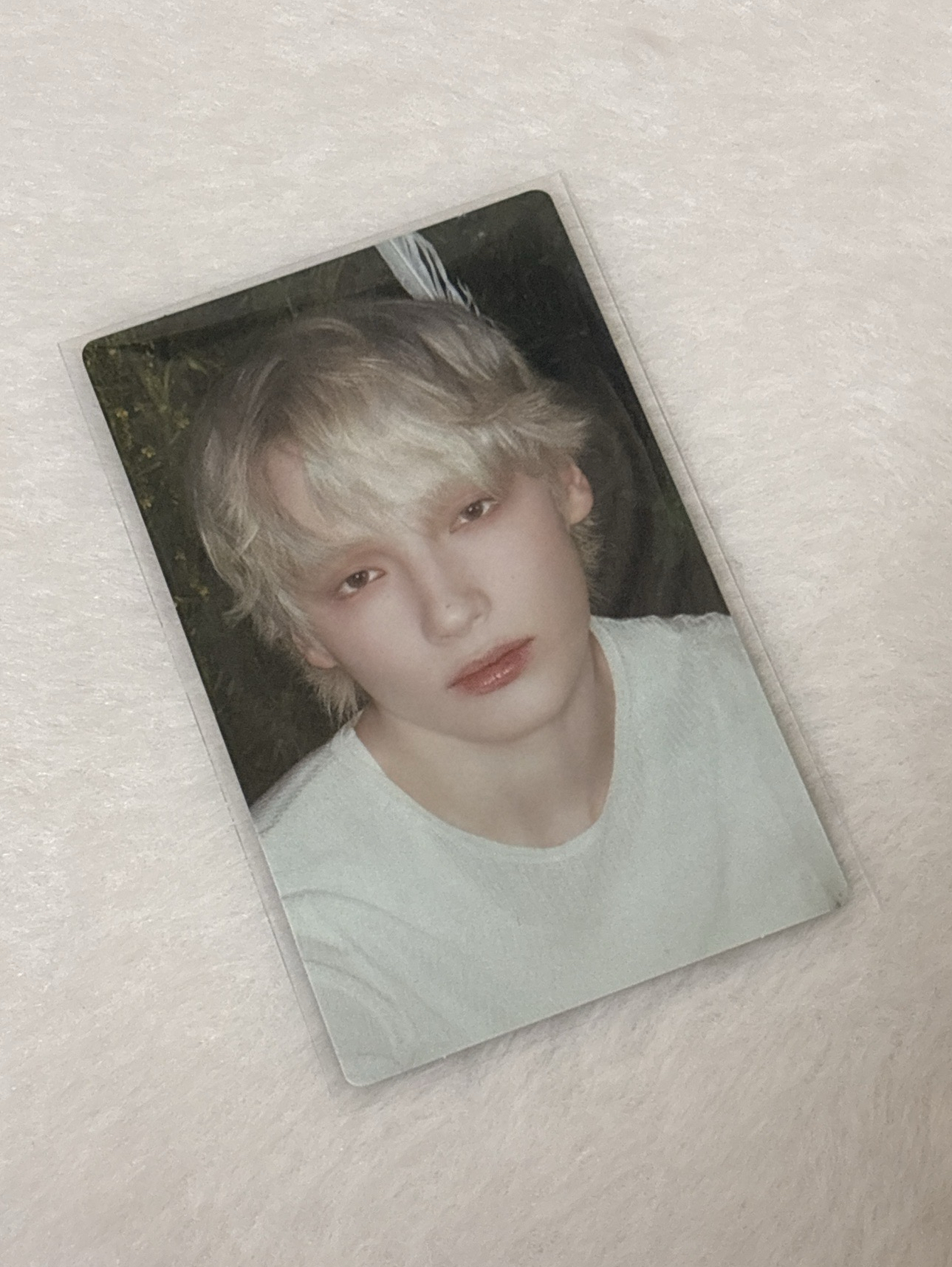 Starkissed 專輯卡 小卡C