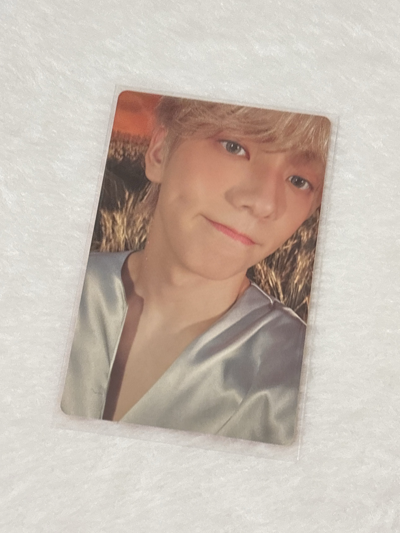 迷六 專輯卡 單封 Light版