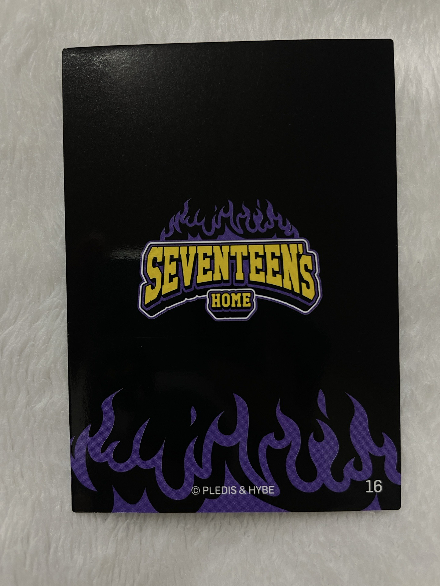 日卡-豪雨盤 順榮 知勳 卡包隨機卡