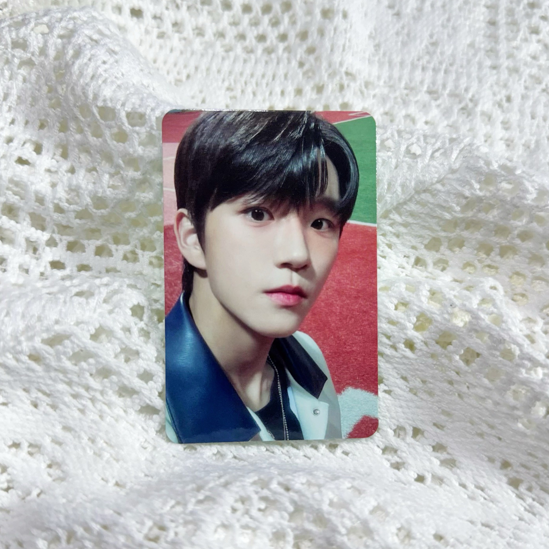 Jaehee｜小狗哪也不去就跟著你